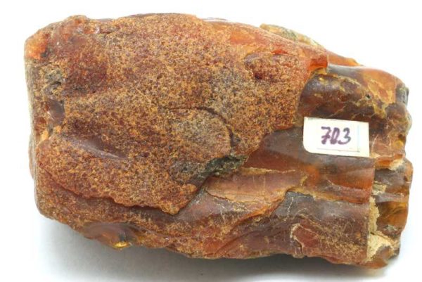 Amber - Image 2