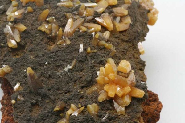 Wulfenite, mottramite - Image 2