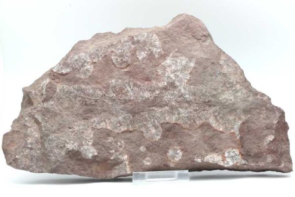 Wavellite - Image 2