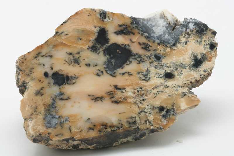 Dendritic opal - Image 2