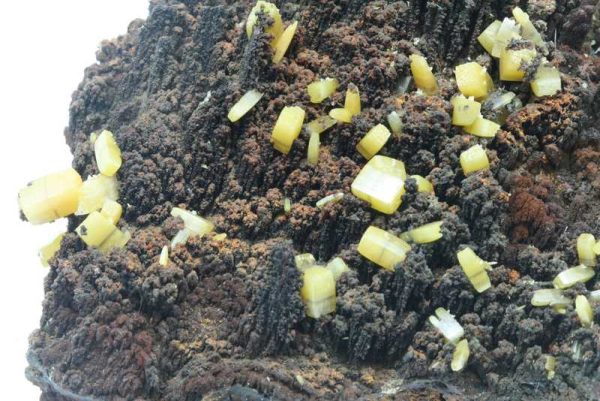 Wulfenite - Image 2