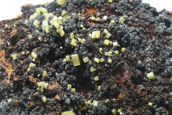Wulfenite - Image 2