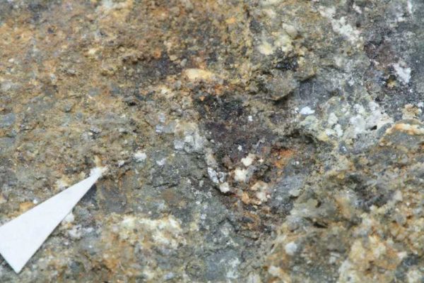 Brandholzite - Image 2