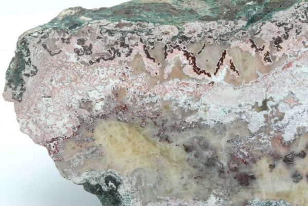 Jasper - Image 2
