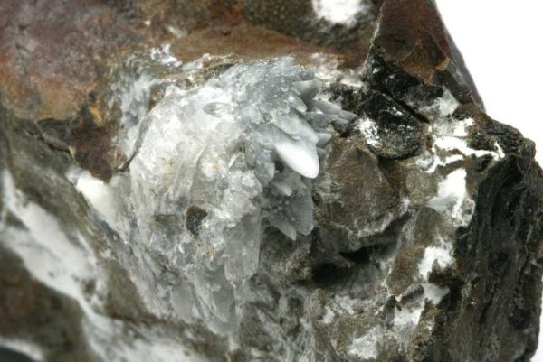 Whewellite - Image 2