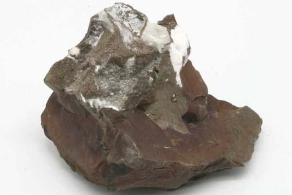Whewellite - Image 2