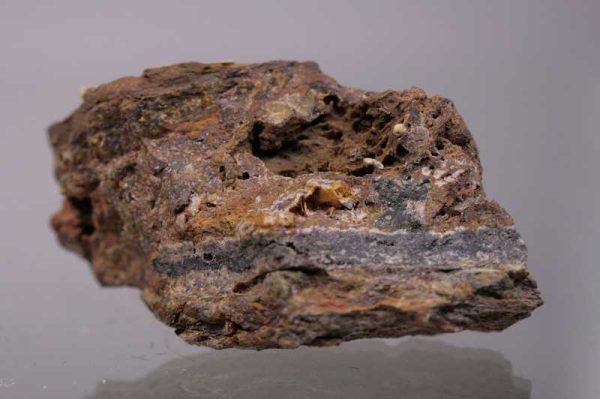 Campylite - Image 2