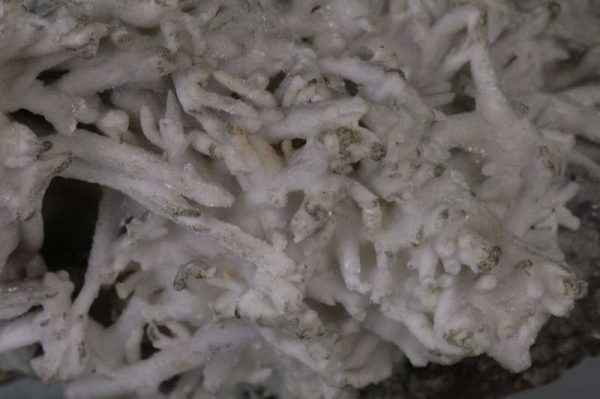 Aragonite - "iron flower" - Image 2