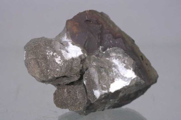 Whewellite - Image 2