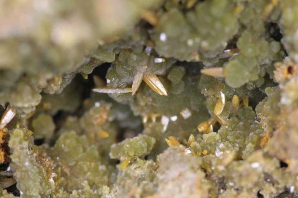 Mimetite, wulfenite - Image 2