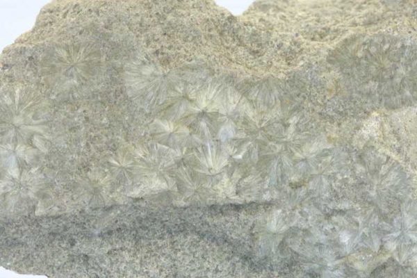 Wavellite - Image 2