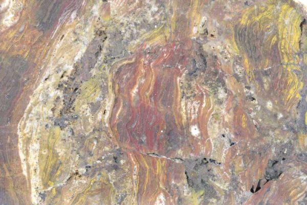 Ferruginous quartz with stromatolites - Image 2