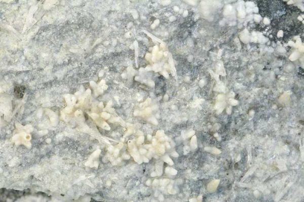 Aragonite, calcite - Image 2