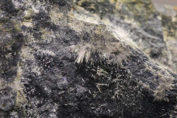 Valentinite - Image 2