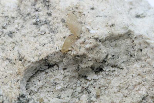 Titanite - Image 3