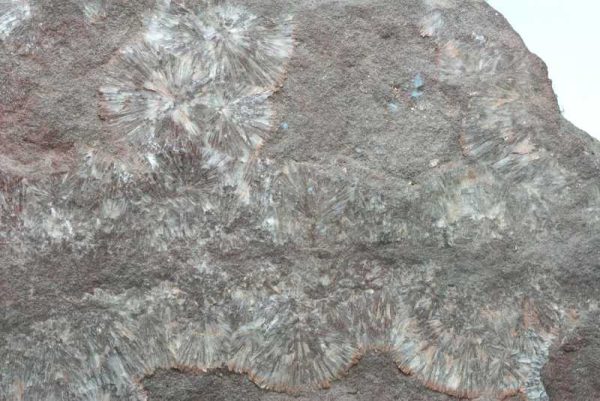 Wavellite - Image 3