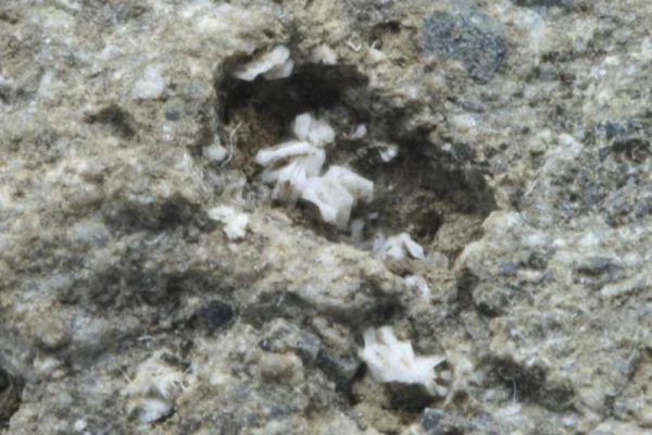 Tridymite - Image 3