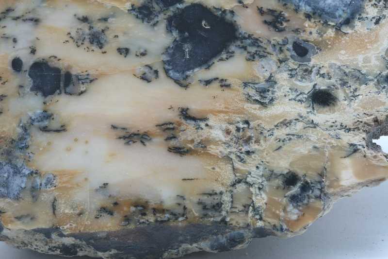 Dendritic opal - Image 3