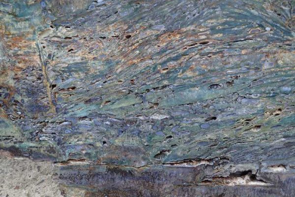 Jasper - Image 3