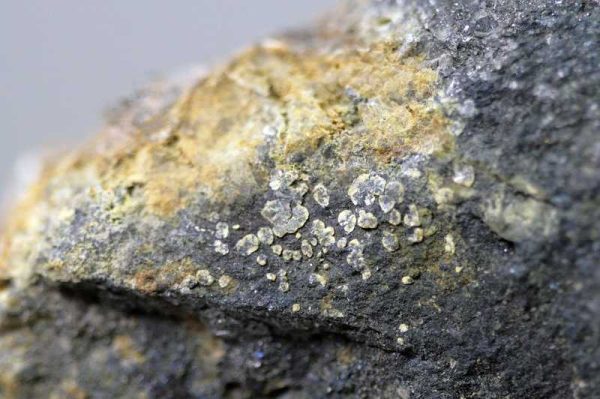 Valentinite - Image 3