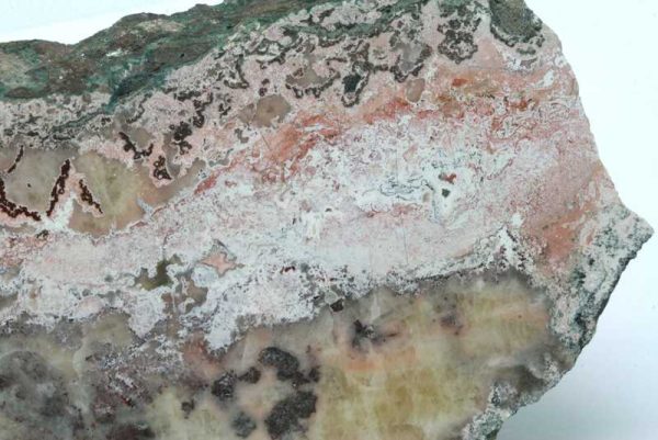 Jasper - Image 3