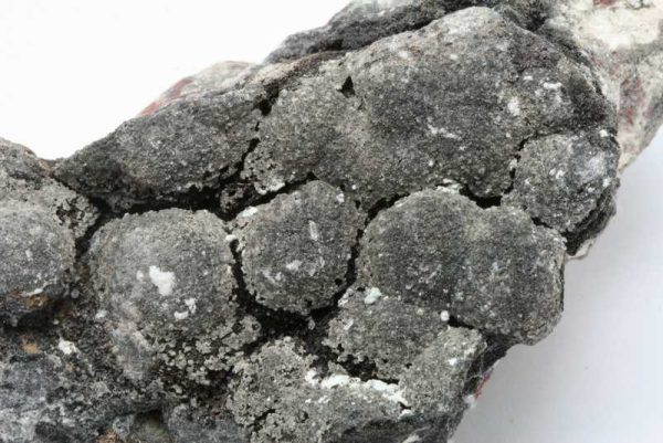 Arsenic, arsenolite - Image 3