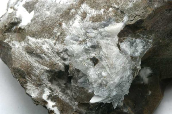 Whewellite - Image 3