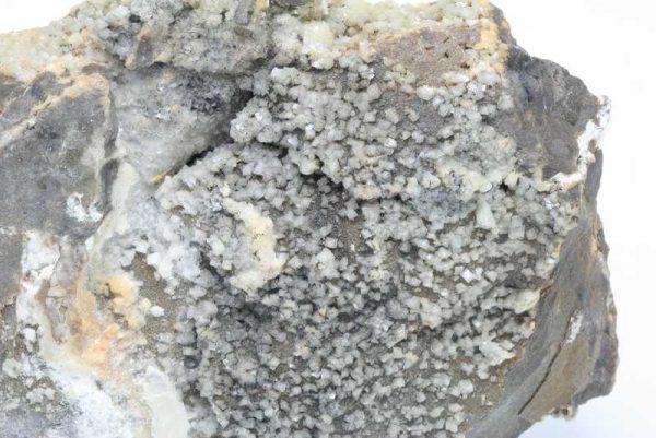 Whewellite, ankerite - Image 3