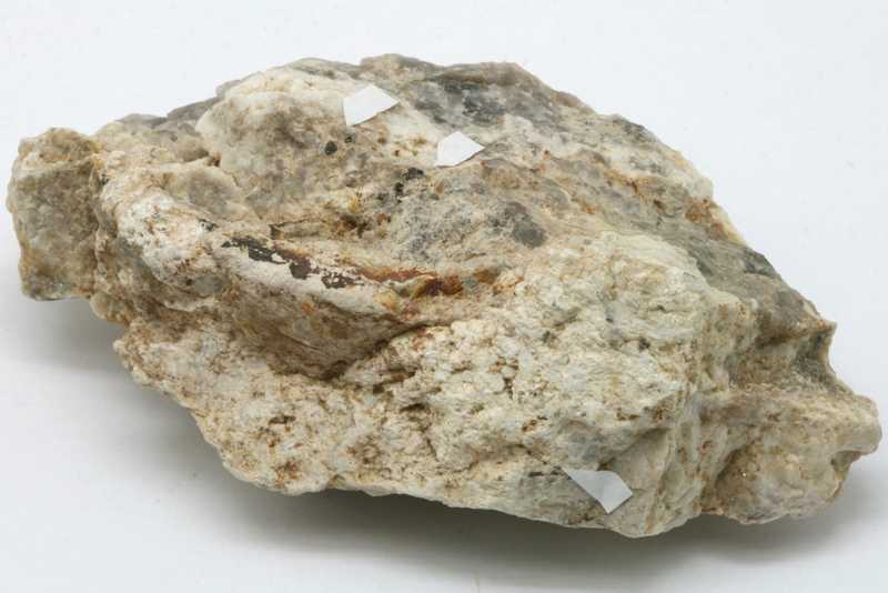 Betasite - Image 3