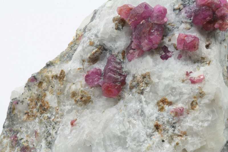 Ruby - Image 3