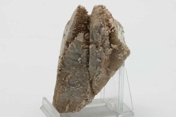 Quartz, apatite - Image 3
