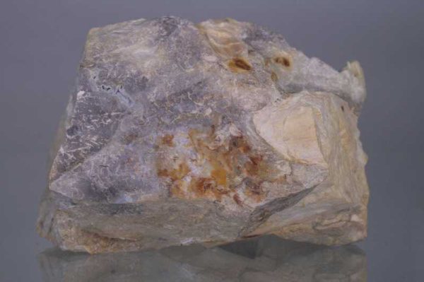 Opalized wood - Image 3