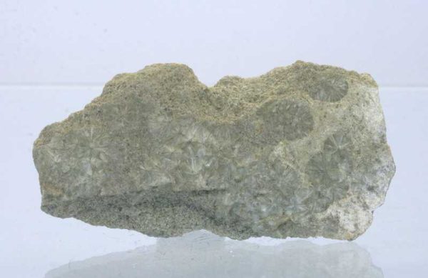 Wavellite - Image 3