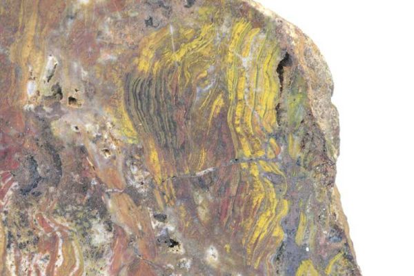 Ferruginous quartz with stromatolites - Image 3