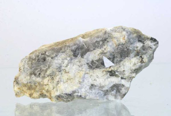 Betasite - Image 3