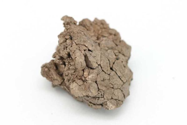 Nickeline - Image 3