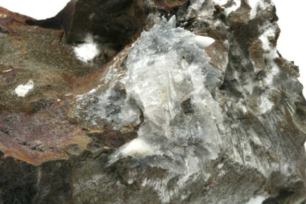 Whewellite - Image 4