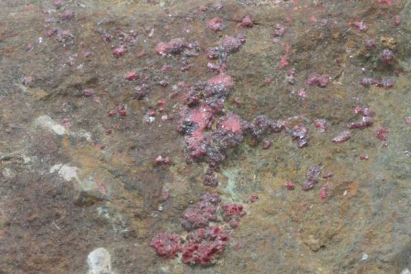 Cinnabar - Image 4