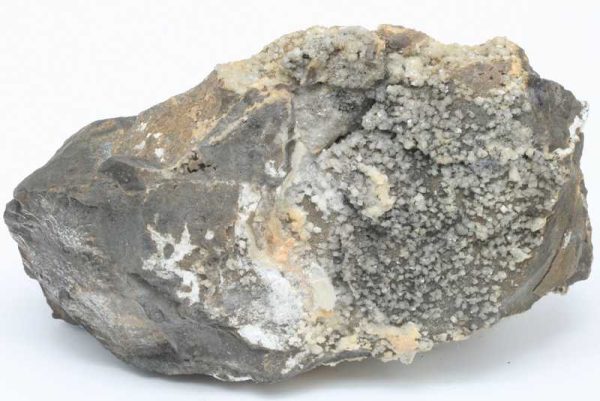Whewellite, ankerite - Image 4