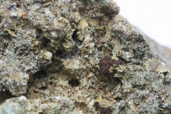 Tridymite - Image 4