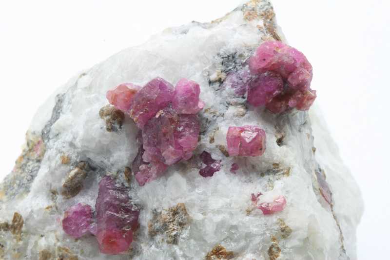 Ruby - Image 4