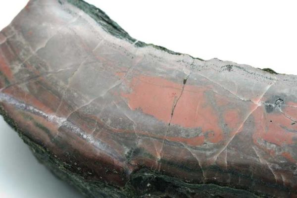 Jasper - Image 4
