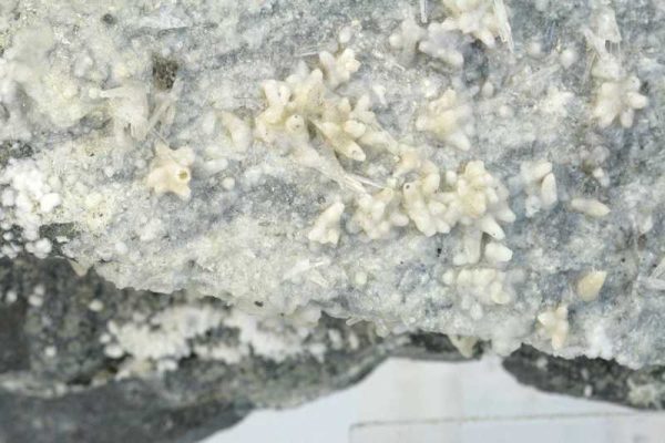 Aragonite, calcite - Image 4