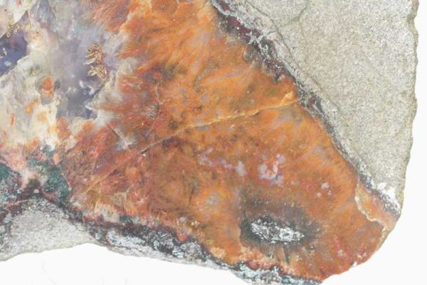 Agate - Image 4