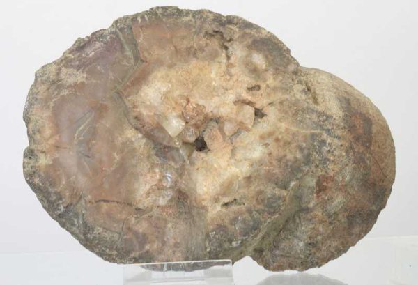 Agate - Image 4