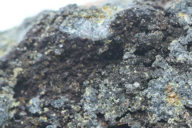 Segnitite - Image 4