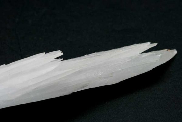 Celestine - Image 4