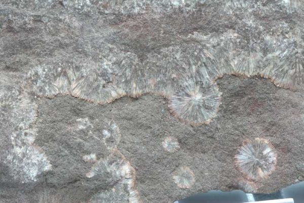 Wavellite - Image 4