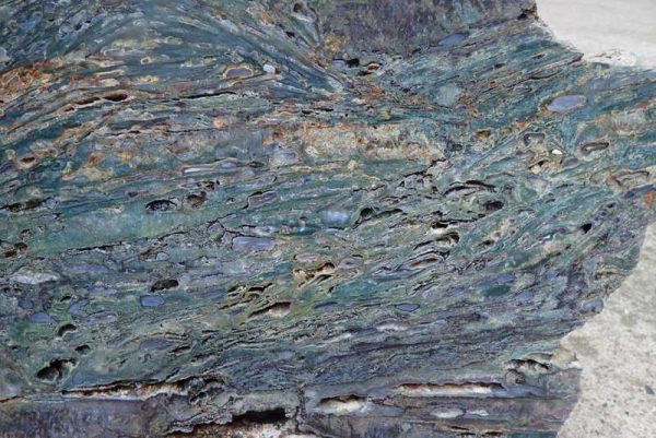 Jasper - Image 4