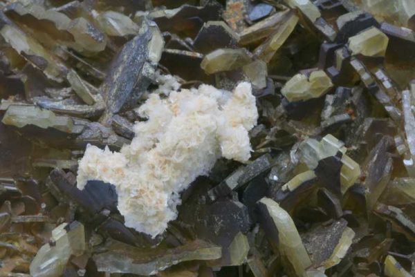 Baryte - Image 4